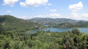 IMG_0048.JPG