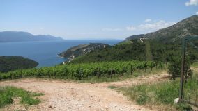 IMG_0063.JPG
