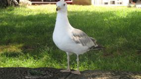 IMG_0367.JPG