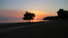 IMG_0375.JPG
