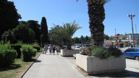 IMG_0401.JPG