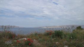 IMG_9929.JPG