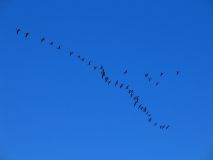 IMG_1189.JPG