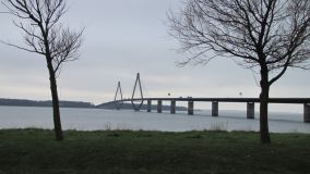IMG_5728.JPG