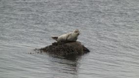 IMG_7837.JPG