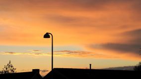 IMG_8952.JPG